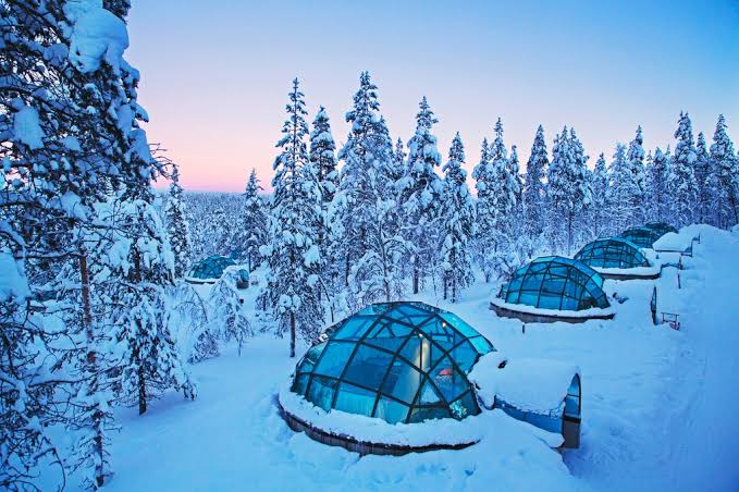 Rounded snow structures and glazed units standing among pines under low winter light
